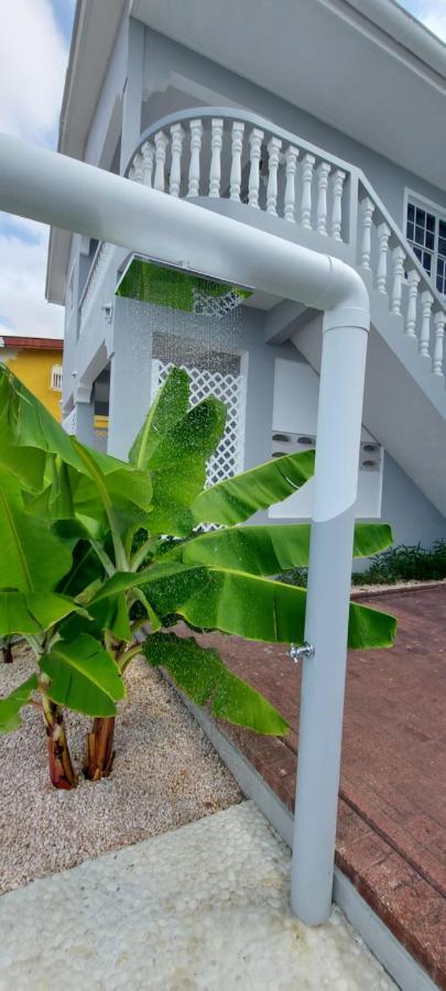 Villa Ravens`s Paradise Azul Willemstad Exterior foto